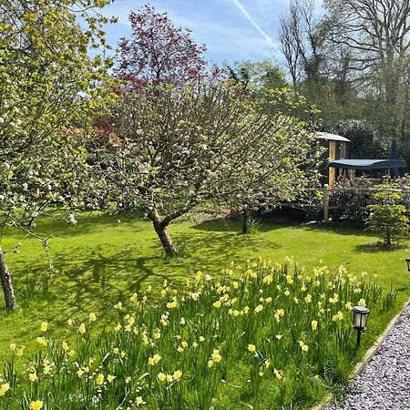 Forest View Shepherd Hut Ewhurst Esterno foto