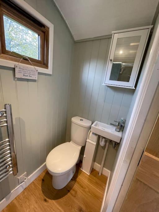 Forest View Shepherd Hut Ewhurst Esterno foto