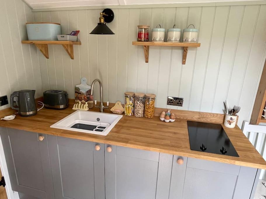 Forest View Shepherd Hut Ewhurst Esterno foto