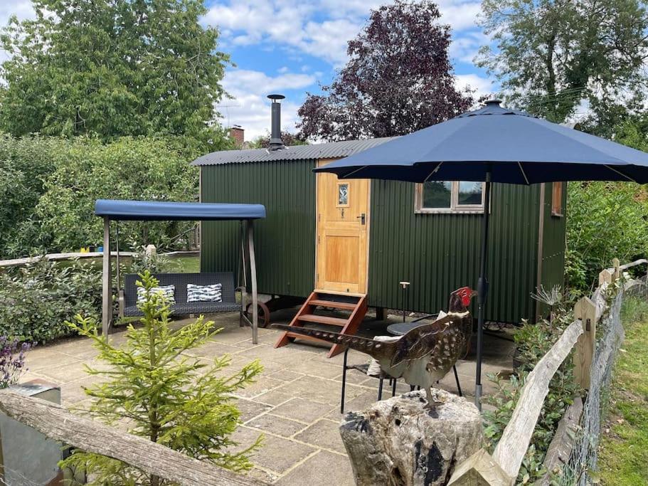 Forest View Shepherd Hut Ewhurst Esterno foto