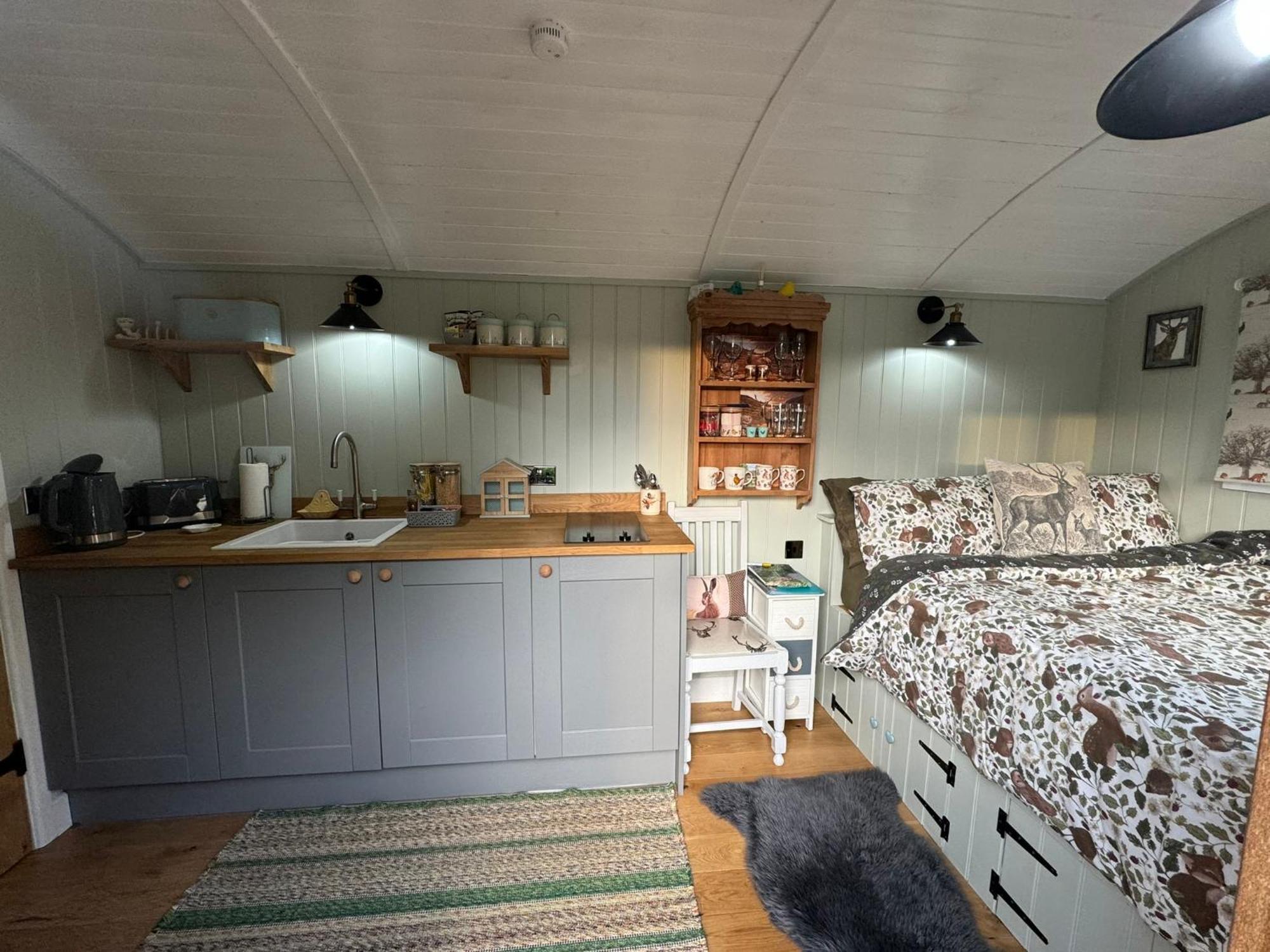 Forest View Shepherd Hut Ewhurst Esterno foto
