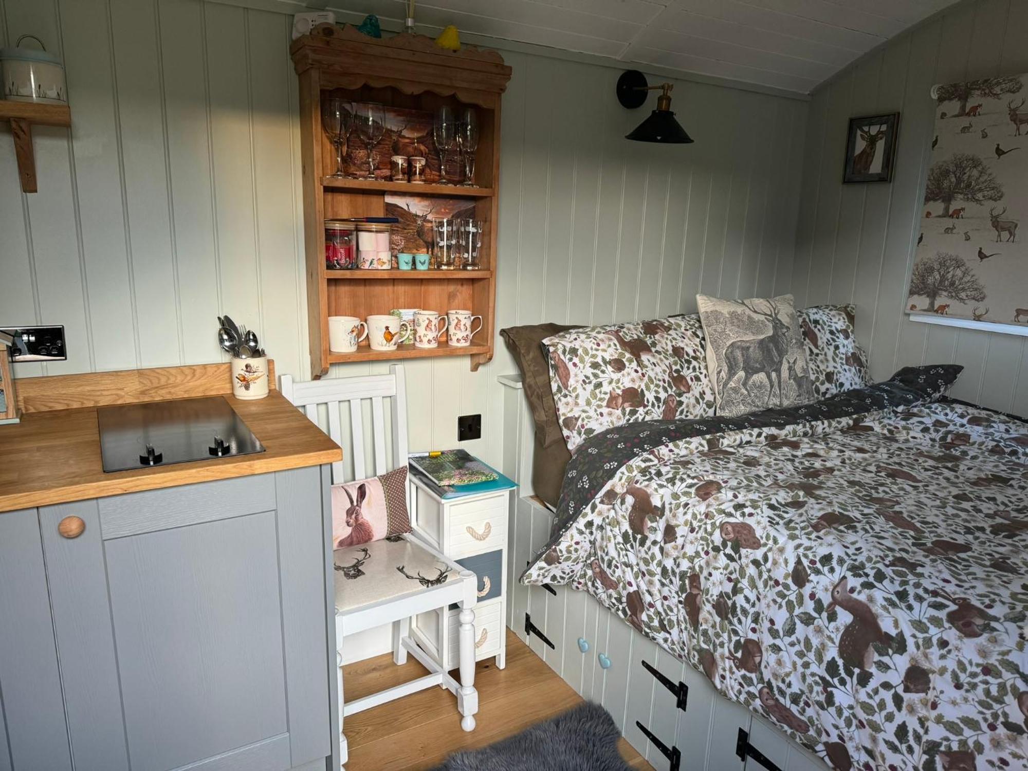 Forest View Shepherd Hut Ewhurst Esterno foto