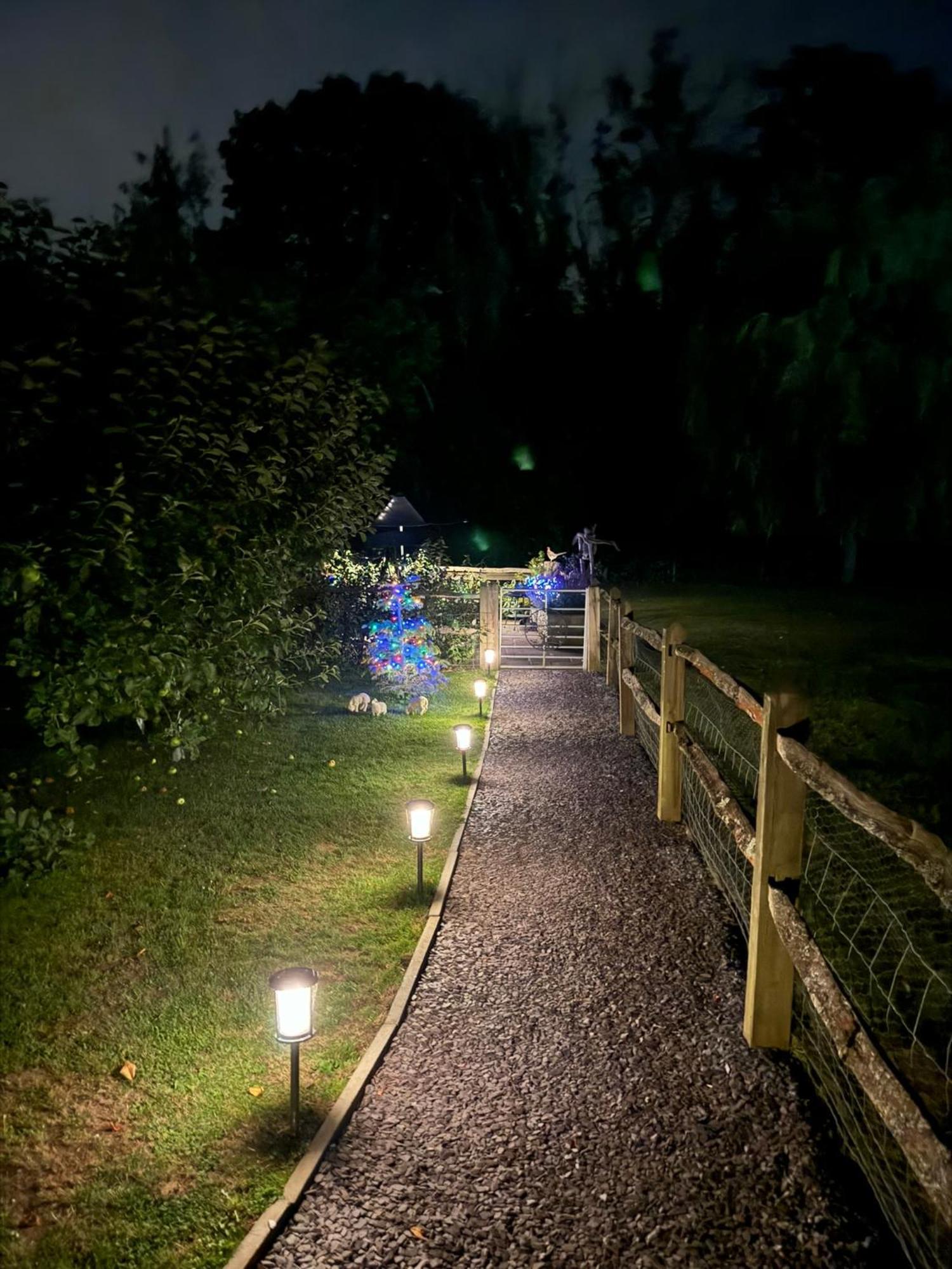 Forest View Shepherd Hut Ewhurst Esterno foto